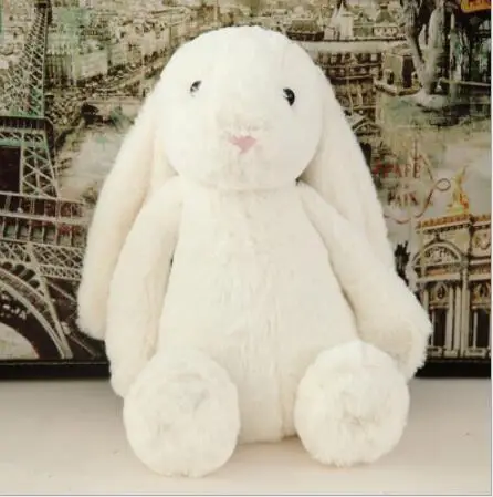 Personalized 30cm Bunny Plush Toy Baby Girl Big Sister Gift Soft Toy New Baby Gift Personalized Rabbit Flower Gift