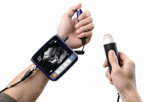 Livestock 3.5inch  Wrist Veterinary ultrasound scanner for animal  pregnancy testing