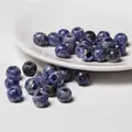 35 Blue Dot 10x12mm