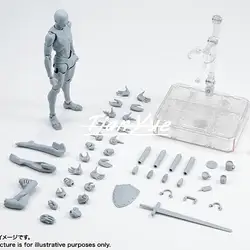 Original High Quality BODY KUN Takarai Rihito BODY CHAN Mange Drawing Figure DX BJD Grey Color PVC Action Collectible Model Toy