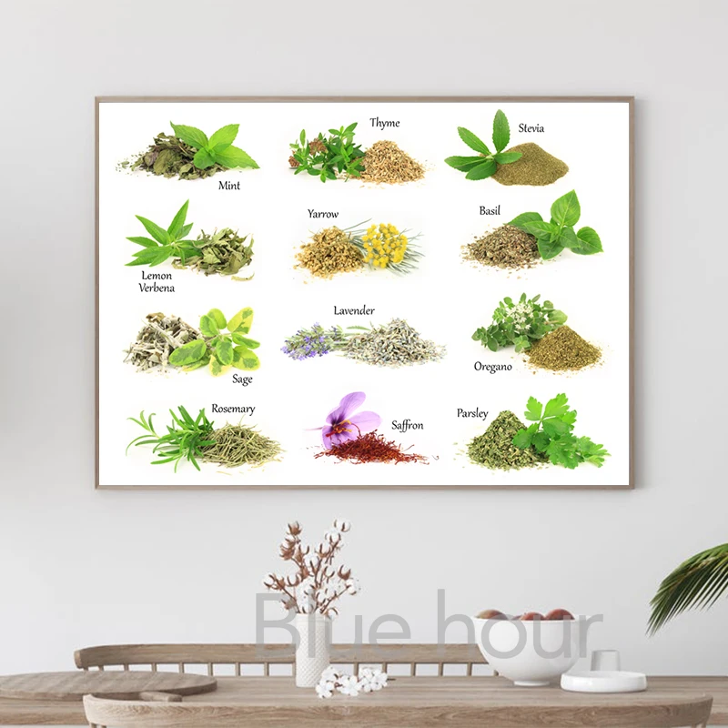 Culinary Herbs and Spices Collection Poster Prints Kitchen Wall Decoration Pictures Natural Plants Mint Rosemary Canvas Painting