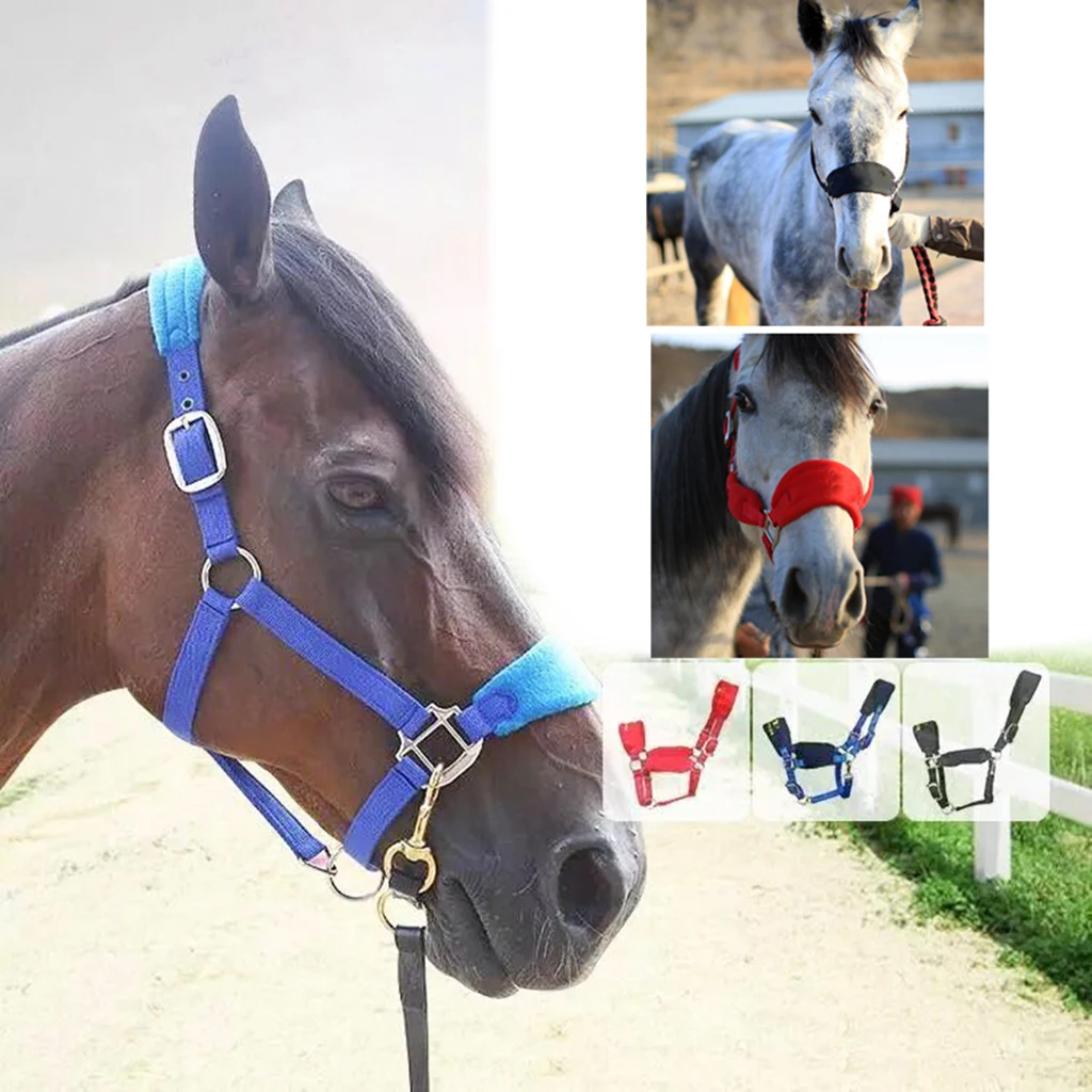 Soft Padded Pony Horse Halter Bridle Headstall Head Collar Horse Riding Stable Horse Bridle Headstall Accessories Western