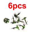 6PCS