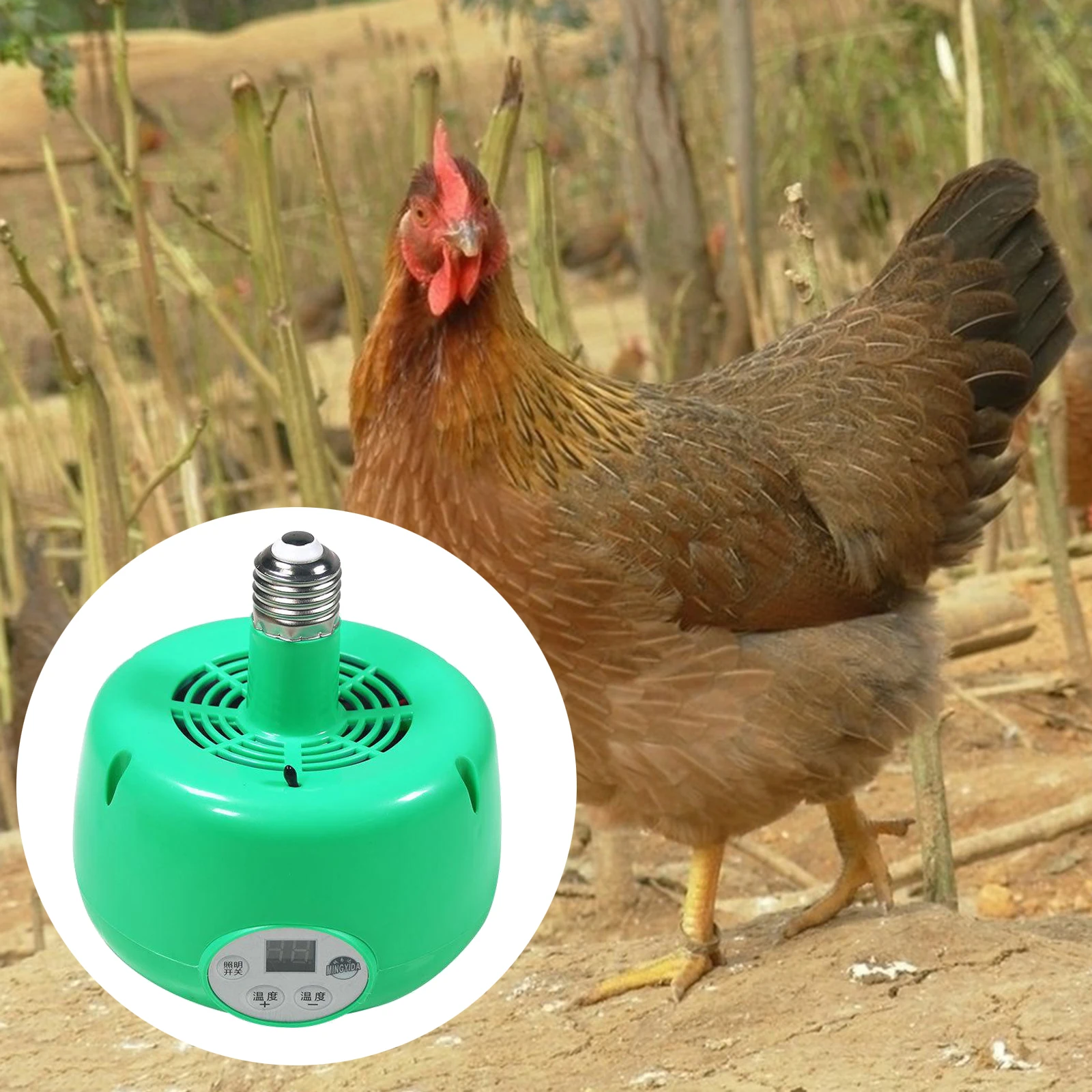 Durable 300W Safe Chicken Coop Pet Heater Livestock Heating Lamp Fan Tool 220V Automatic Temperature Control LED Light