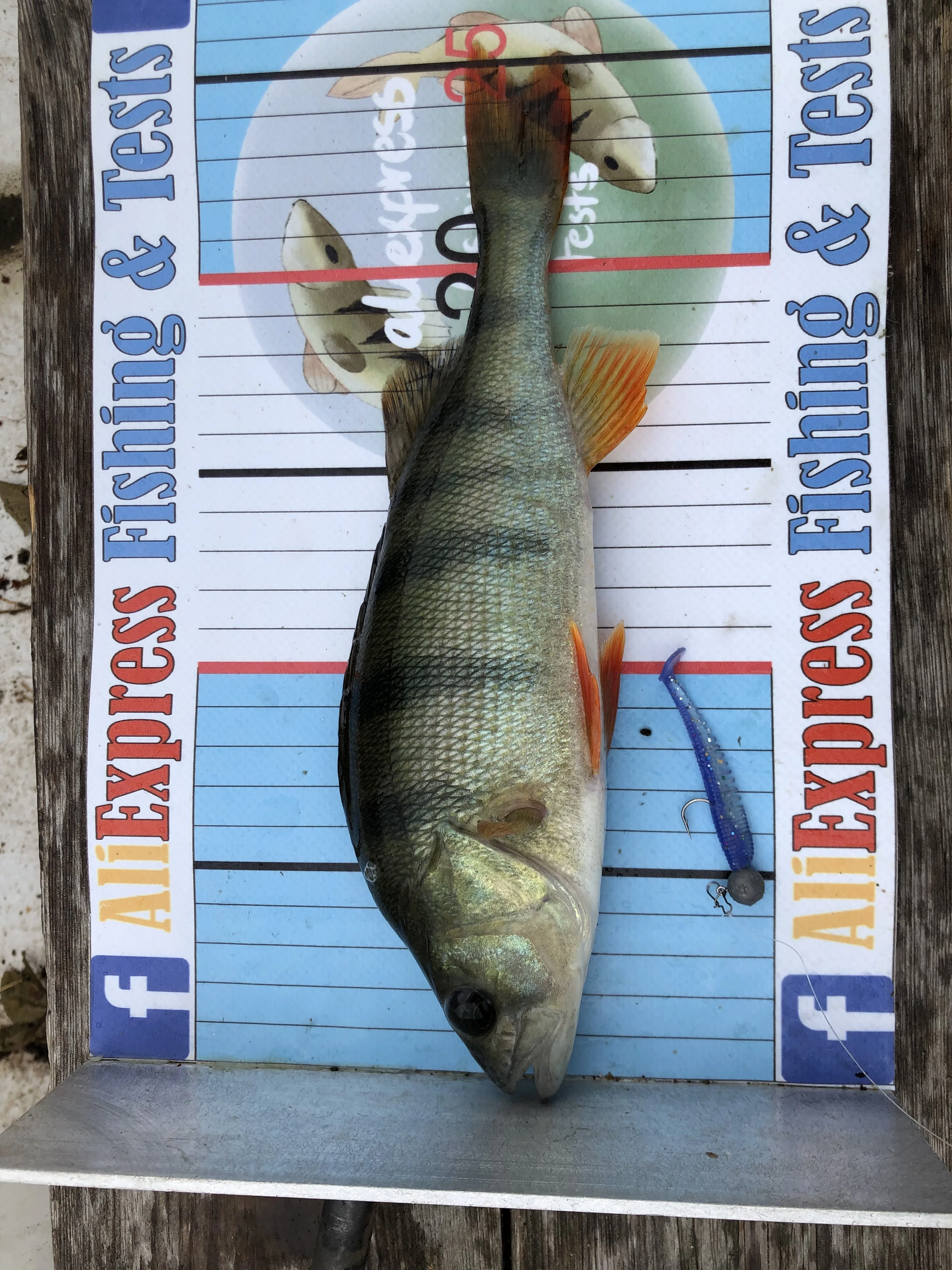 Supercontinent  Fishing Lures New color updates, continuous updates! 5CM 8CM 9.5CM 11CM