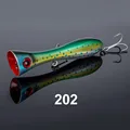 NSB202