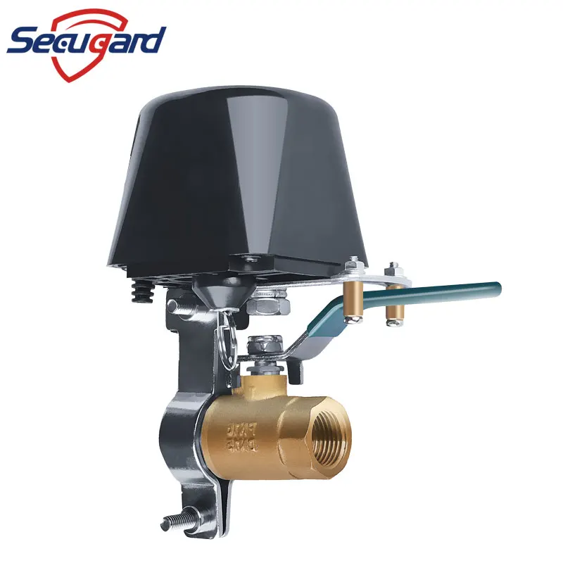 WiFi Smart Water Valve valvola Gas compatibile con Alexa Google Home spegnimento Tuya Smart Life APP telecomando Home