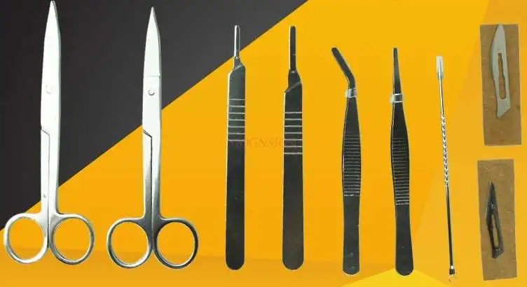 7pcs/set surgical set Scalpel biodissection tool insect specimen making tool dissection needle dissector anatomy supplies