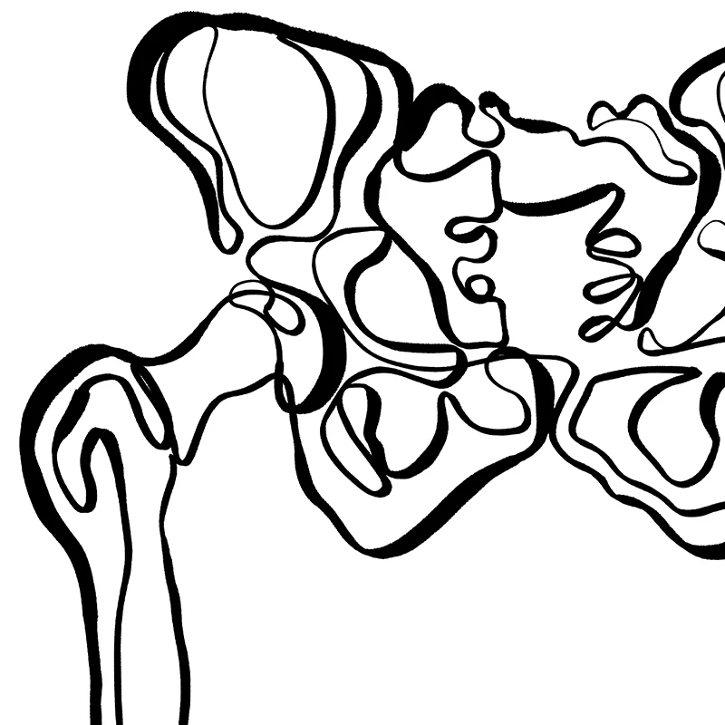 Line Drawing Human Anatomy Skeleton Spine Wall Art Canvas Painting Nordic Posters and Prints Medical Wall Pictures Office Decor