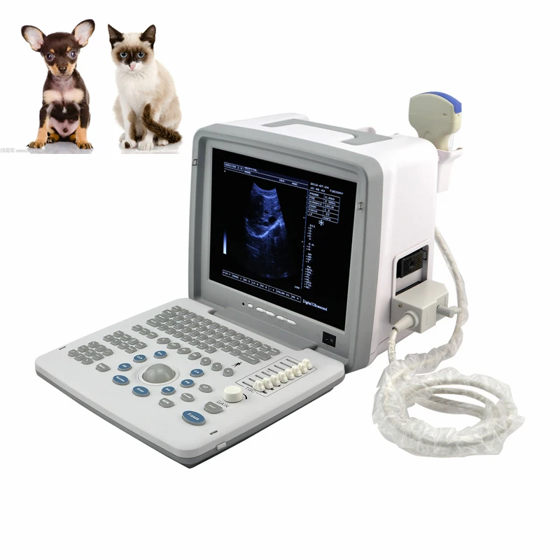 Veterinary 12 Inch LED Screen Animal Pet Portable Ultrasound Scanner Machine