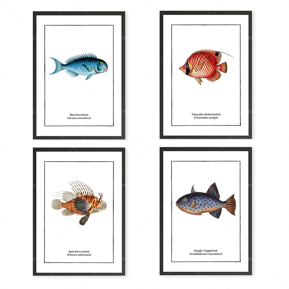 Ensemble de 4 imprimés de poissons vintage, Tropical Fish Minimalist Wall Art