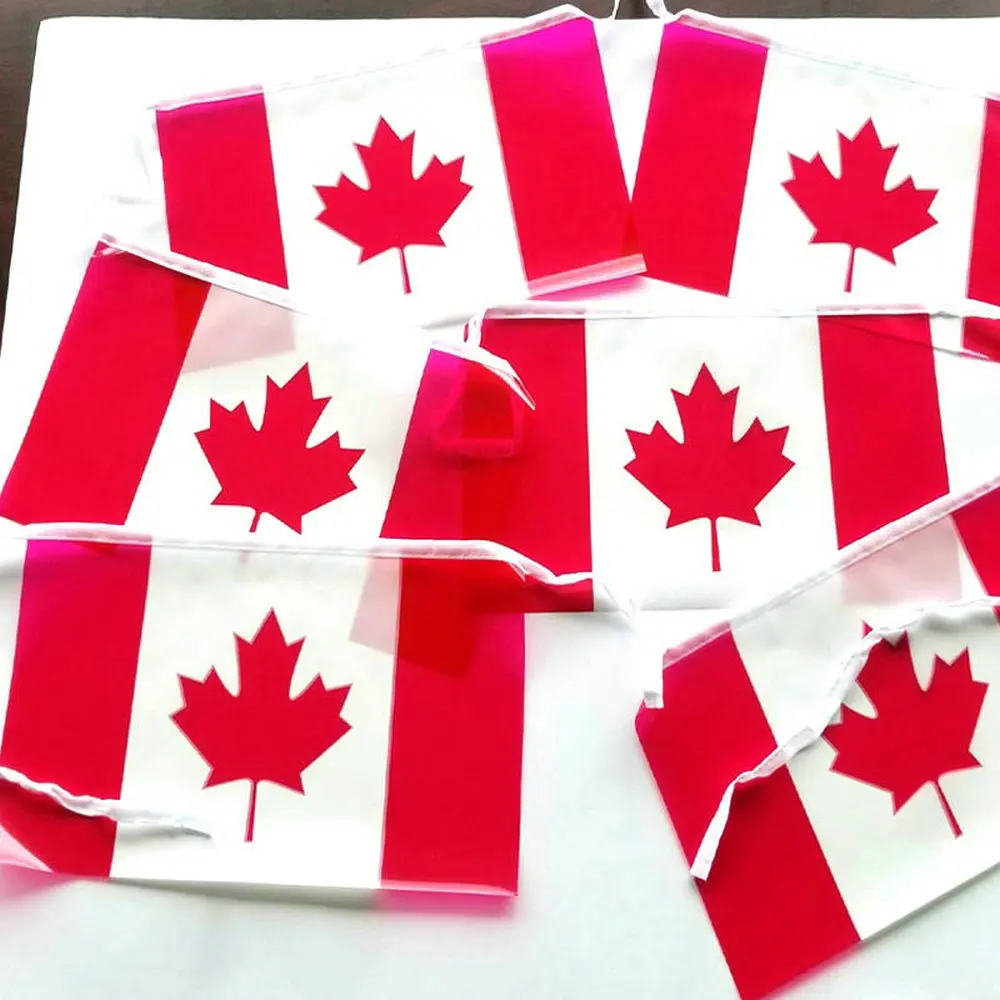 Canada bunting flag banner 14x21cm 20pcs/pack CA Canada String Flag Countries Bunting Pennant Banner for Decoration