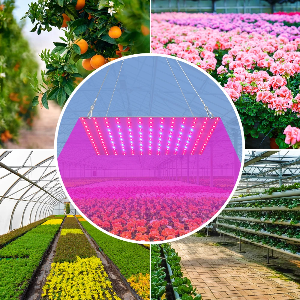 Phyto Lamp 220V 20W 40W Grow Light LED Full Spectrum Indoor Greenhouse Plant Hydroponic Plant Spotlight LED Grow Tent 110V 2835