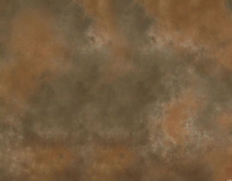 Свадебные фоны для портретной фотосъемки с изображением старого мастера для студийной фотосъемки реквизит видео фоны для фотосъемки NB-136