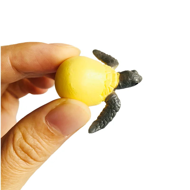 Montessori Educational Toys Life Cycle Figures and Cards of Turtles Biology Learning Resource Preschool Homeschool Teaching Aids