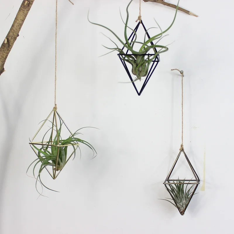 Freestanding Hanging Planters Geometric Swing Wrought Iron Tillandsia Air Plants Holder Rustic Flower Planter For Home Garden