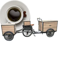 Multi Function Electric Tricycle Coffee Vending Carts 3 Wheels Adult Cargo Bike For Sale With Ce Certification Coffee Cart Bicyc