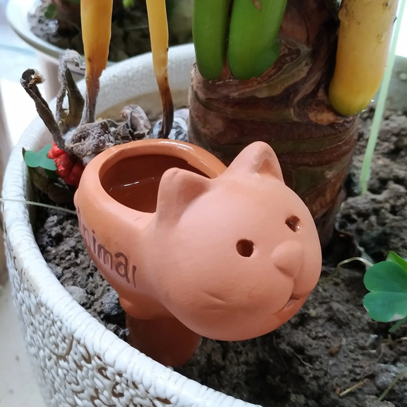 Argila ajustável 12*8.5*5cm dos desenhos animados da ferramenta do conta-gotas do ponto de rega de terracota da planta automática para plantas internas e exteriores