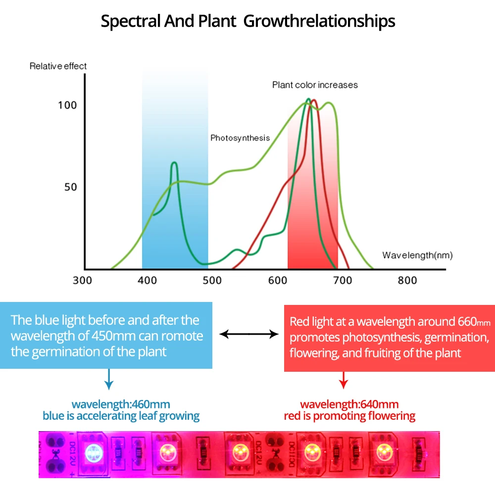 1 متر-5 متر LED تنمو شرائط مصباح النباتات الطيف الكامل مصابيح شريط فيتو مقاوم للماء مع محول + باهتة التبديل ل خيمة الزراعة الدفيئة
