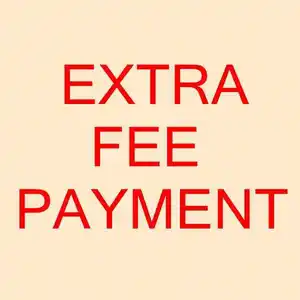 Extra Fee-for shipping charge or customizable product