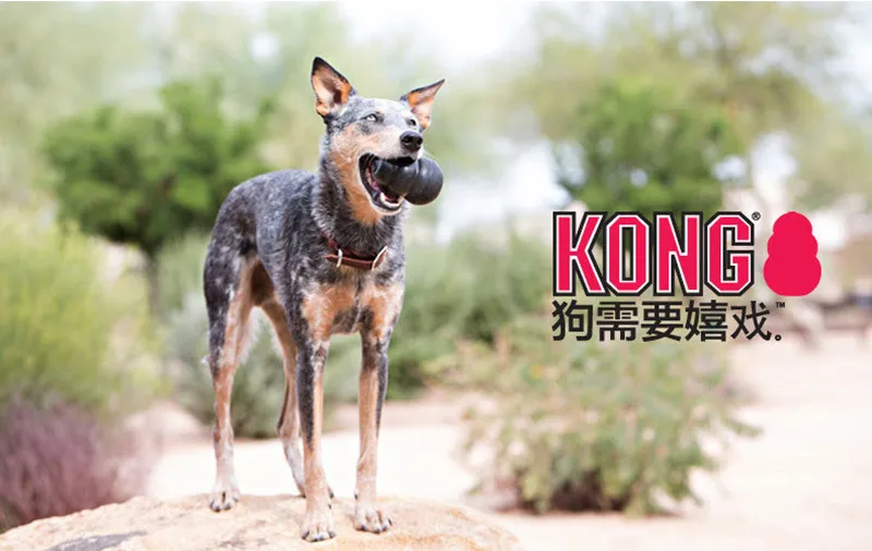 S-XXL KONG Extreme Hundespielzeug mit Ihrer Wahl für Hundeleckerli – Detail 10