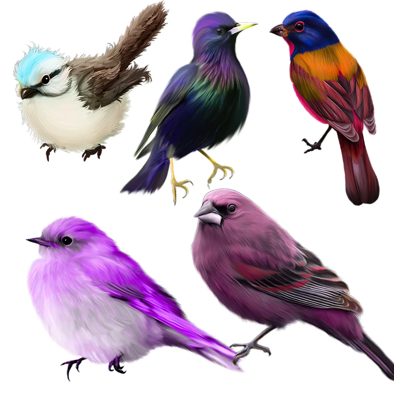 Three Ratels QCF179 Lovely blue purple bird wall sticker for home decoration toilet Decal