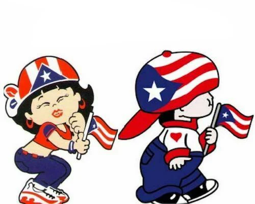 PUERTO RICO FLAG CAR STICKER DECAL,BANDERA,BORICUA, (EACH KID INDIVIDUALLY ITEM) Motocross Start Racing Tuning Laptop Trunk