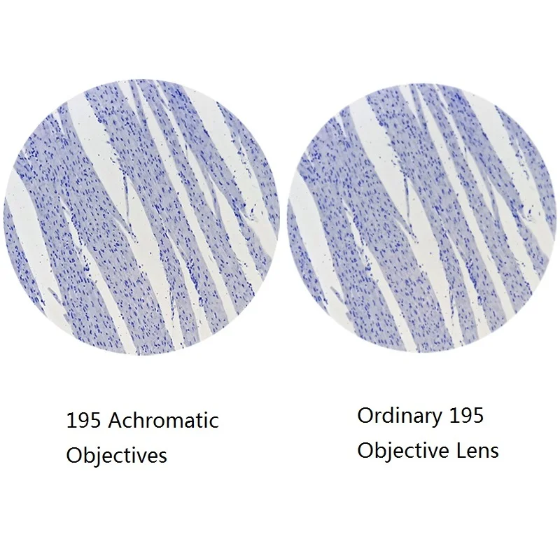 195 Achromatic Objective Lens 4X 10X 20X 40X 60X 100X f/ Biological Microscope Lens Coating RMS 20.2mm Standard Thread Interface