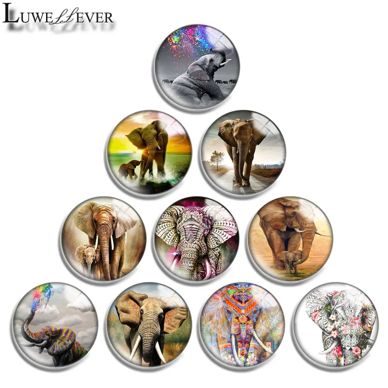 

12mm 14mm 16mm 20mm 25mm 30mm 679 Elephant Mix Round Glass Cabochon Jewelry Finding 18mm Snap Button Charm Bracelet