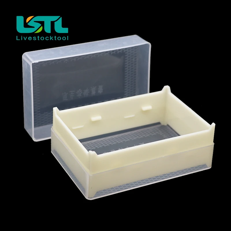 10 Pcs Beekeeping 250g/500g Honey Cassette Transparent Plastic Nest Honey Nest Honey Box Nest Removable Clean And Sanitary