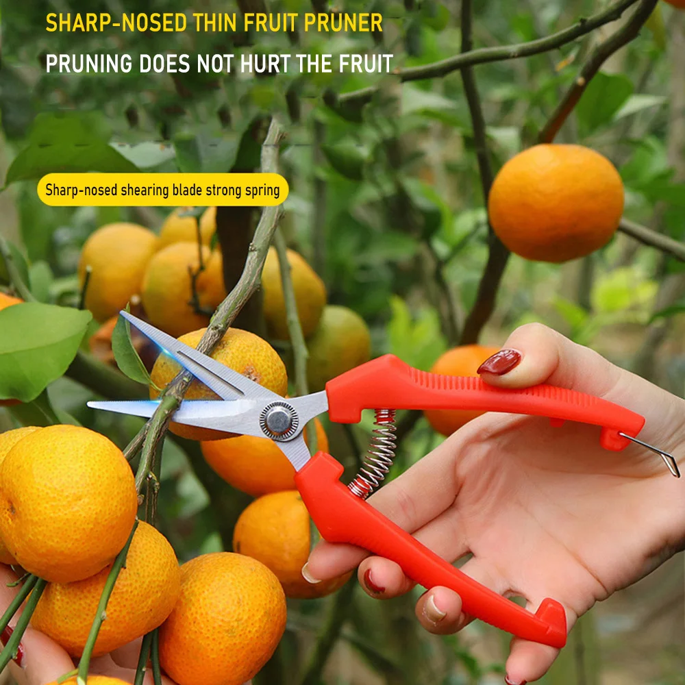 Tijeras de podar de Metal para jardinería, herramientas de jardín, tijeras de podar, cortador de mano, uva, fruta, recolección de hierba, maceta para el hogar