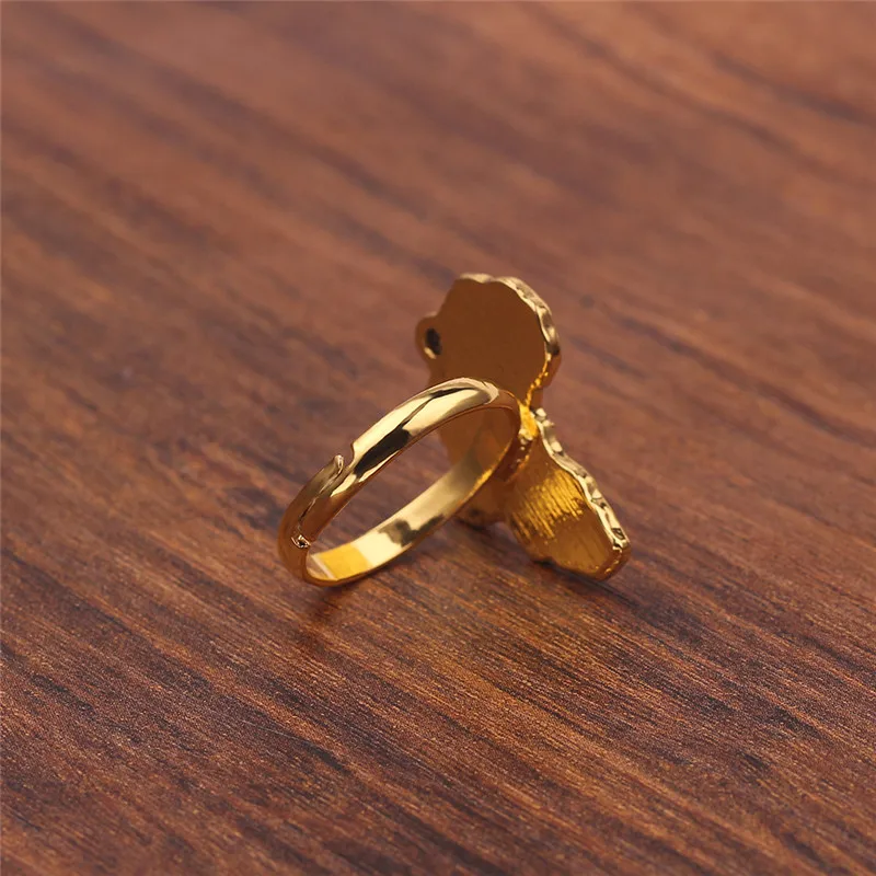 Adjustable Africa Map Ring for Women Men Gold Color Hip Hop Ethnic Jewelry Wholesale African Punk High Quality Copper Gift