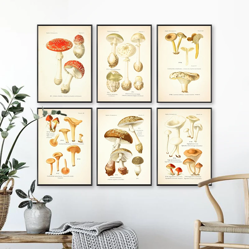 Vintage Mushroom Botanical Posters and Prints Atlas of Edible and Poisonous Mushrooms Plants Canvas Painting Wall Art Home Decor