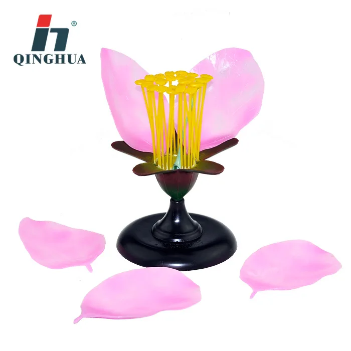 Detachable Giant Dicot Flower Peach Blossom Flower Anatomy Model Plant Anatomical Model Biology Teaching Experiment Equipment