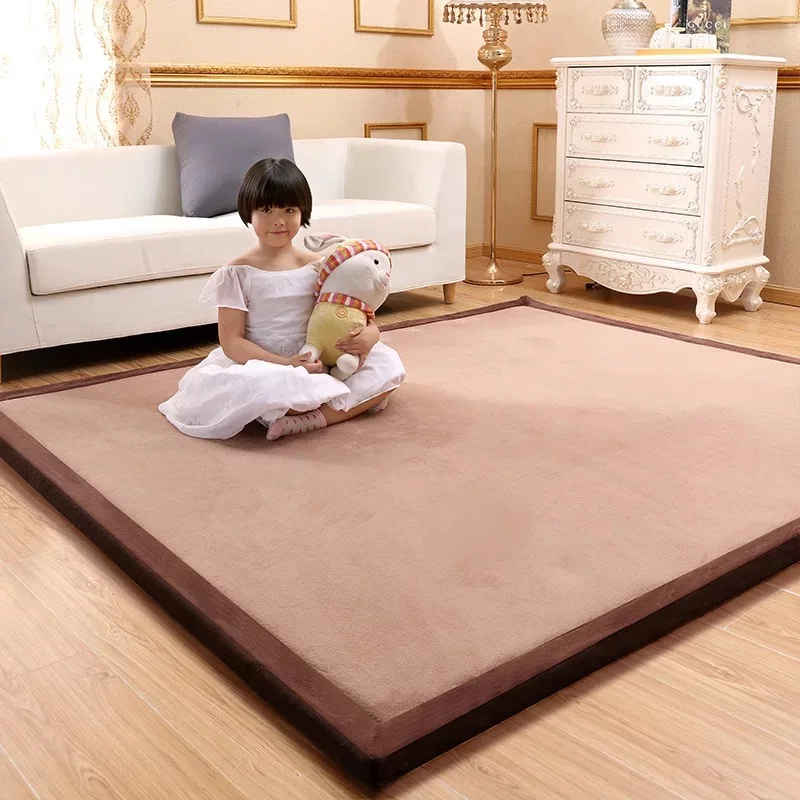 Coral fleece thick carpet 2cm/3cm thickness velvet cover sponge mattress luxury soft living room bedroom mat custom made carpet