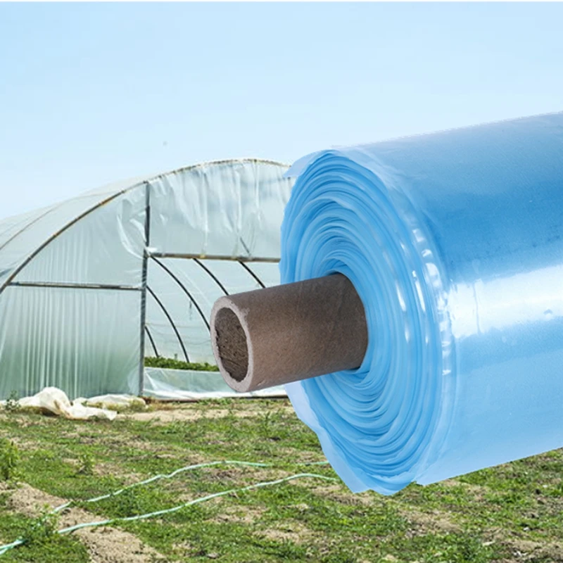 Le film transparent anti-buage 0,08 mm une solution efficace pour les serres agricoles