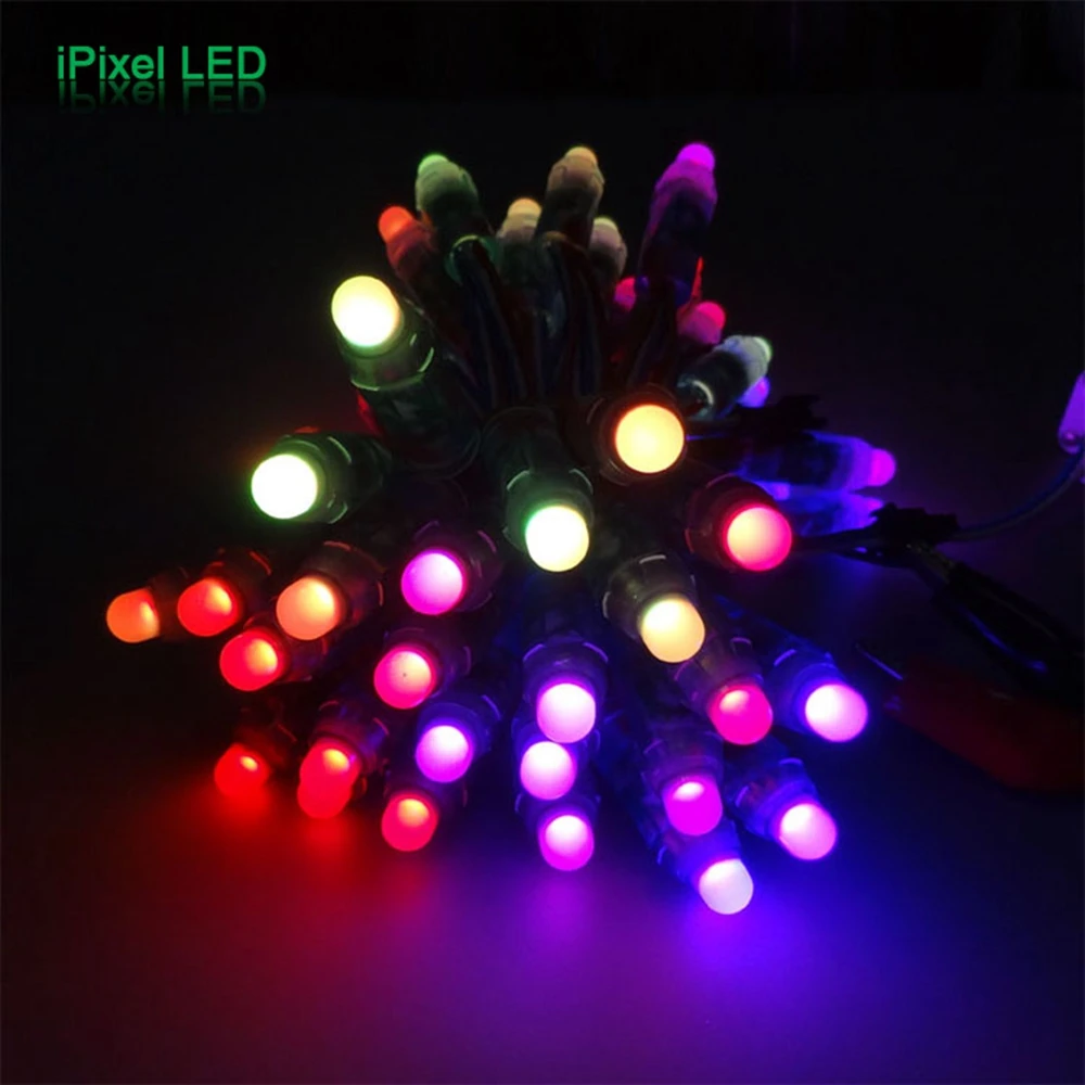 WS2811 Individually Addressable RGB  DC5v/12V12MM LED String Lights