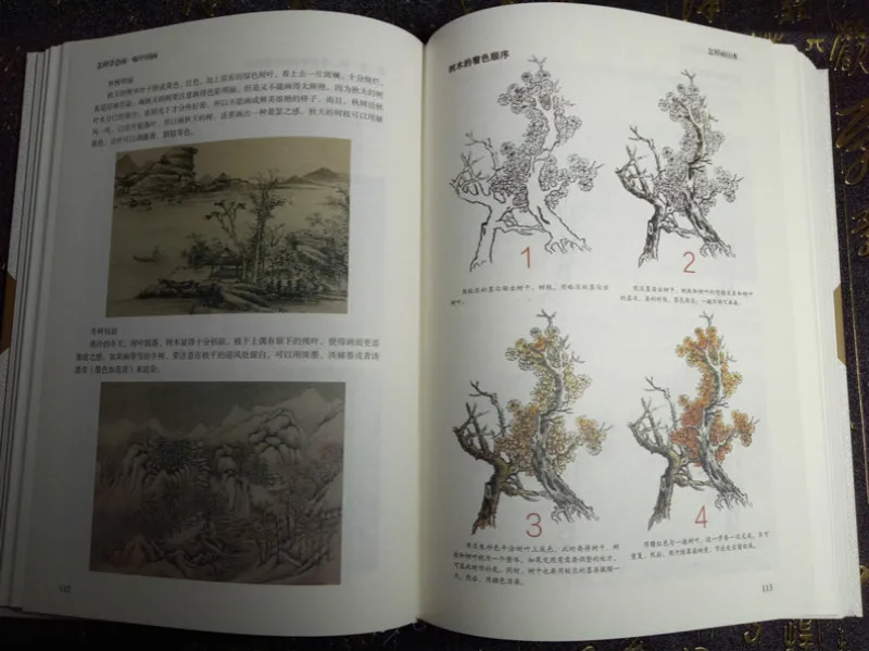 Livro de pintura chinesa para iniciantes, livro de habilidade para pintura de paisagem e flores, tutorial em pincel chinês