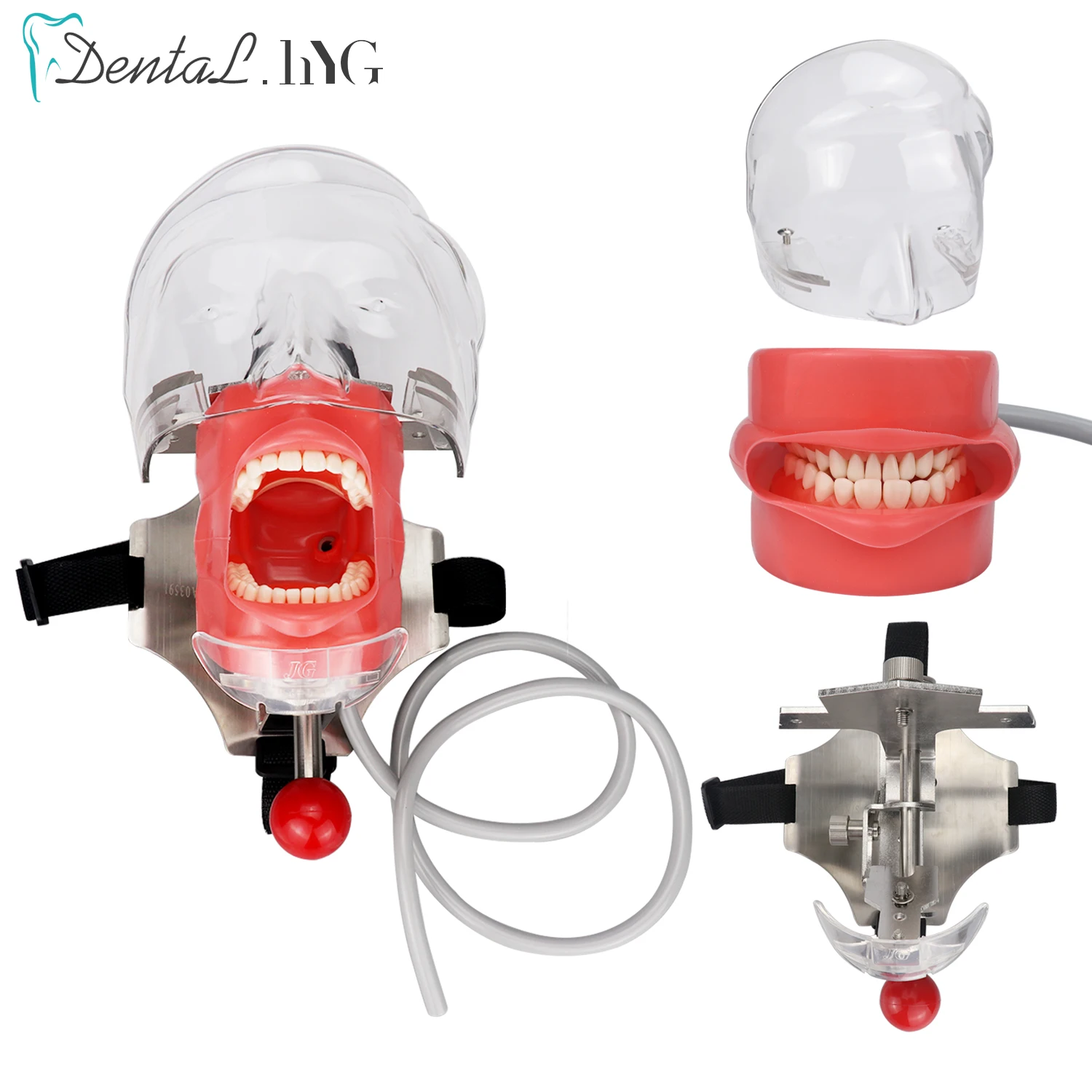 Head Model Dental Simulator The Head Model Can Be Installed On The Pillow Of The Dental Chair It Is Used For Dentist Teaching