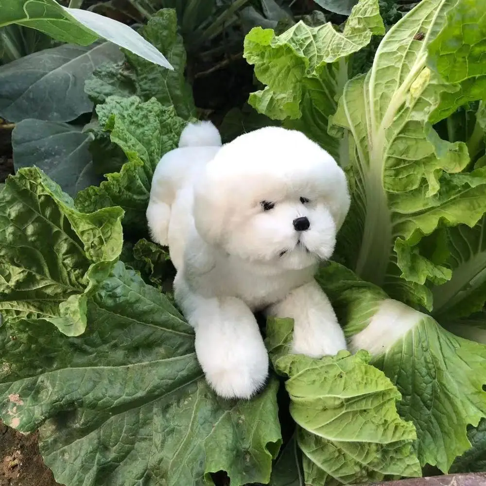 Cute White Lying Dog Plush Toy Real Life Teddy Dog Gift Approx 30x17x14cm Soft Furry & Plastic Model