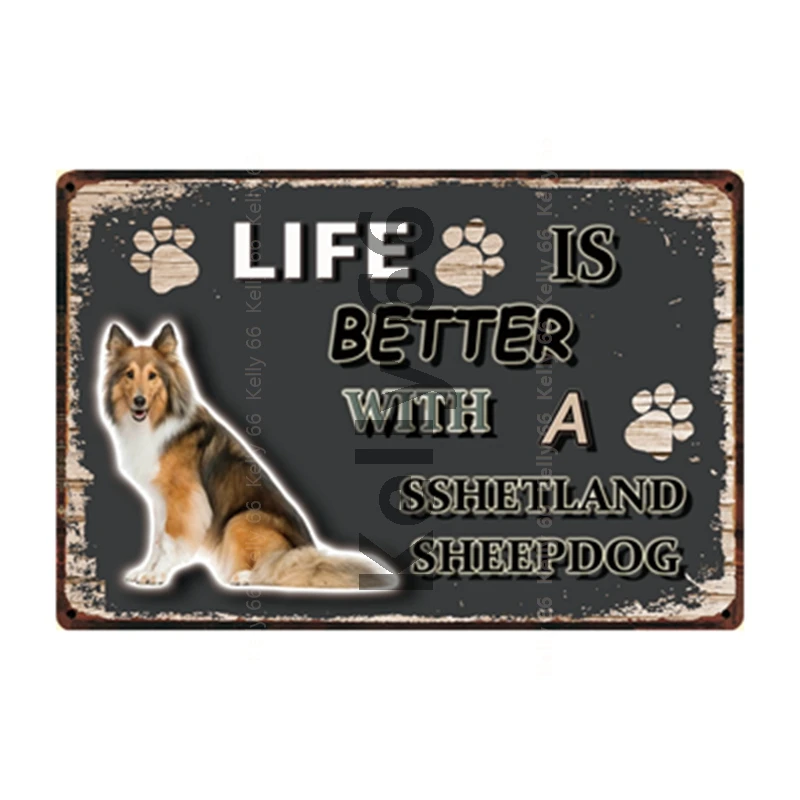 [ Kelly66 ] Pet Warning Dogs Rules Better With Shetland Sheepdog Metal Sign Home Decor Bar Wall Art Painting 20*30 CM Size DG-41