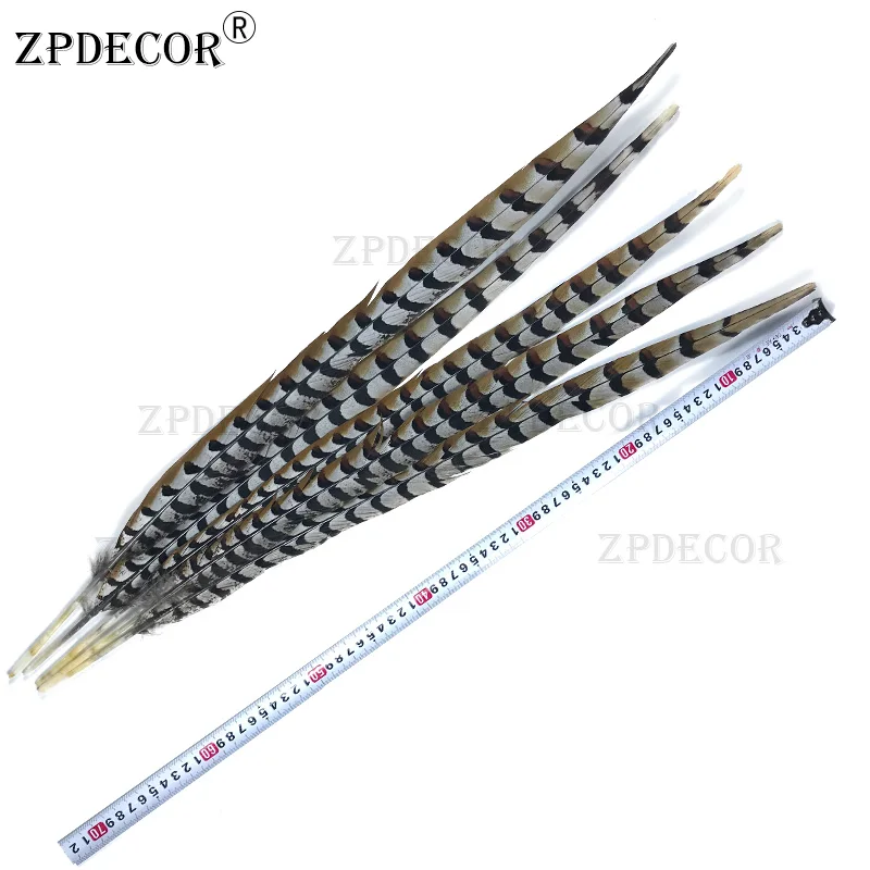 ZPDECOR-Natural Reeves Pheasant Feathers, 65-70cm, 26-28 in