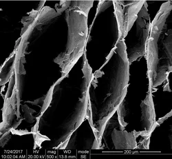 Ultralight Graphene Aerogel / Highly Elastic Graphene Aerogel / Doped CNT Graphene Aerogel