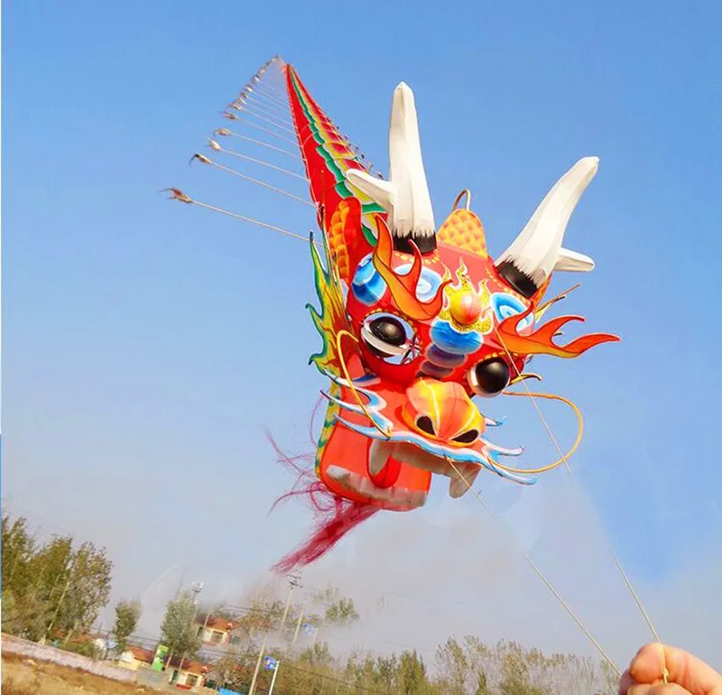 free shipping 20m big kite chinese traditional dragon kite line fly ferramenta paper kite ladybug huge kite kevlar 3d kite owl