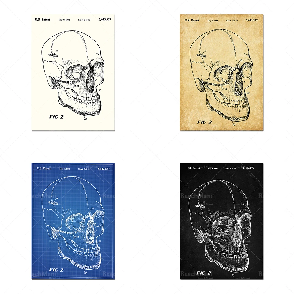 Anatomical skull patent print, skull poster, anatomy, body art, retro poster, doctor's office decoration
