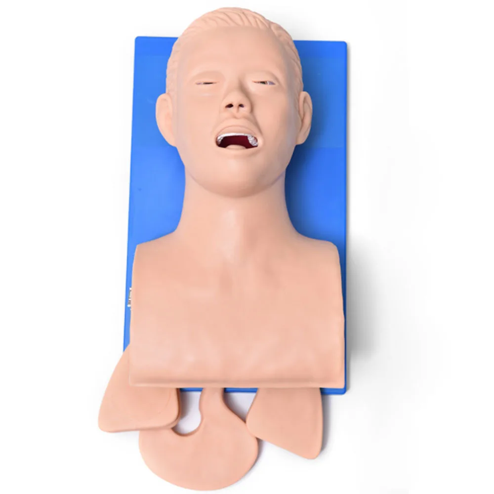 Intubation Manikin Study Teaching Model Airway Management Trainer PVC With Teeth 110-220V