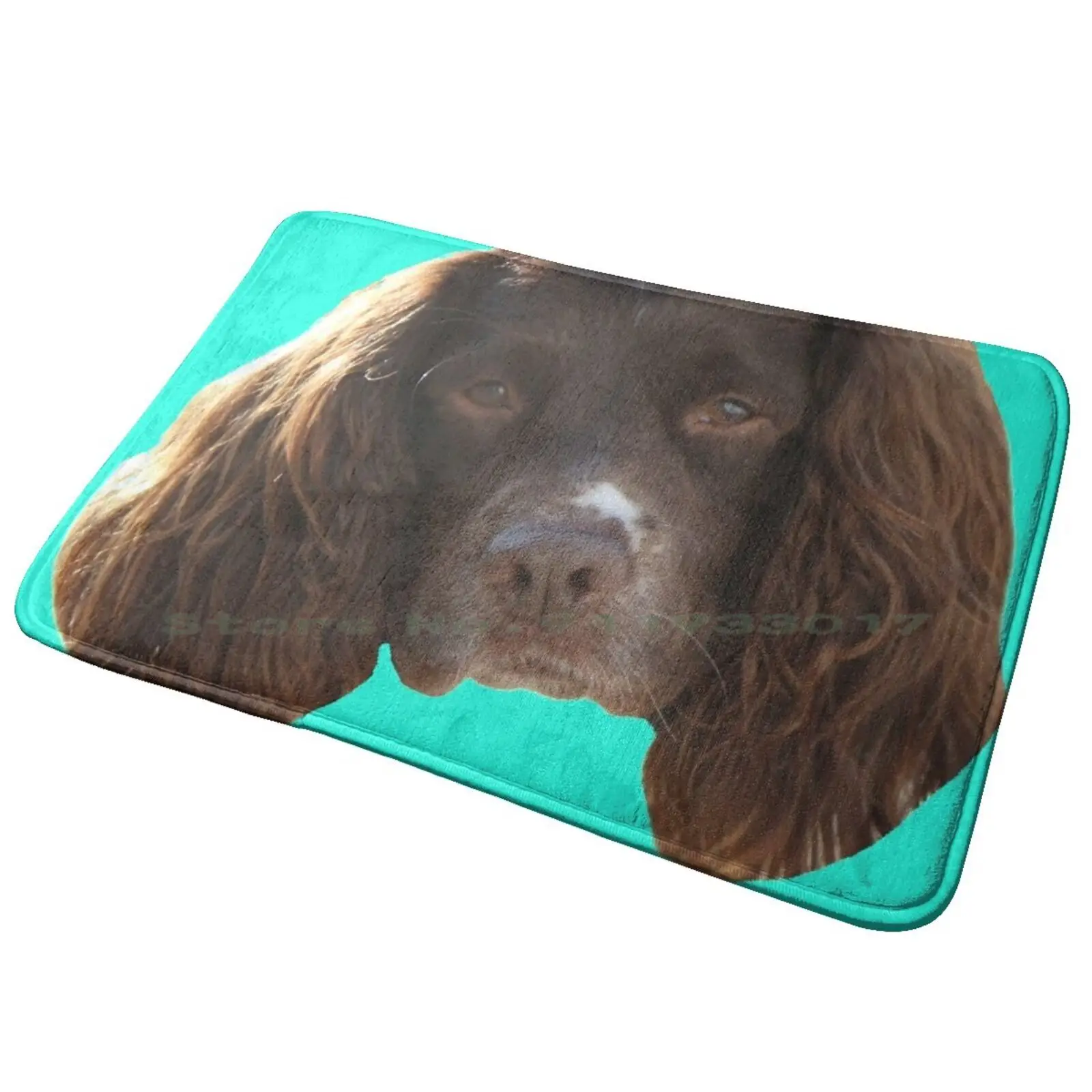 Cute Springer Spaniel Face Entrance Door Mat Bath Mat Rug Brian Scalabrine Mamba White Black Red Sports Basketball Ring Banner