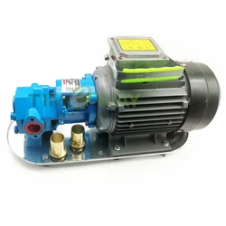Power 220V/380V WCB Protable Gear Oil Pump with Motor WCB-75 WCB-100 Cast Iron Fuel Transfer Pump for WVO WMO