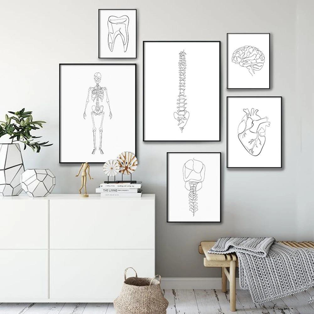 Anatomy Skeleton One Line Posters and Prints Anatomical Heart Drawing Illustration Canvas Pictures for Gift Clinic Wall Decor