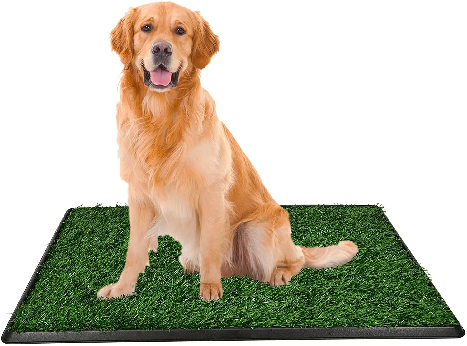 

Three -Layer Lawn Dog Toilet Dog Potty Dog Urinal Pet Toilet